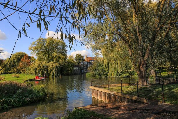 istock Cambridge public park with punting boats 973108868