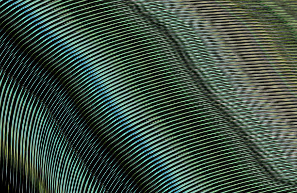 istock Covers design,colorful gradients,future geometric patterns,modern abstract covers set,shapes and composition 973109230