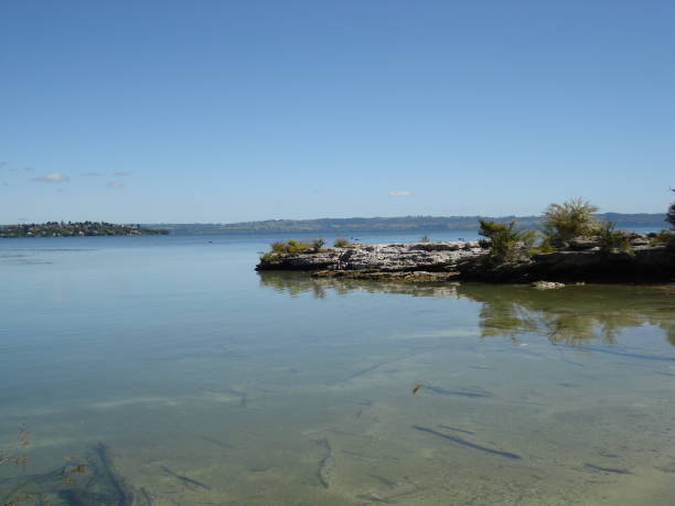 istock Lake Rotorua 973112064