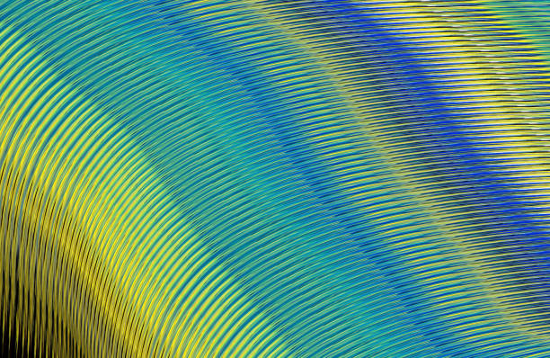 istock Covers design,colorful gradients,future geometric patterns,modern abstract covers set,shapes and composition 973112090