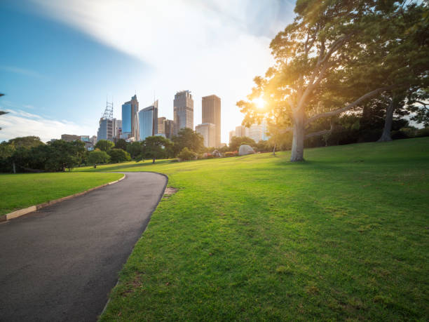 istock central business district of Sydney at daytime 973113068