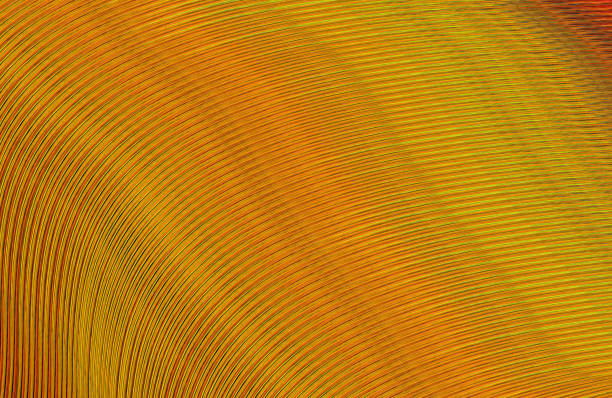istock Covers design,colorful gradients,future geometric patterns,modern abstract covers set,shapes and composition 973115334