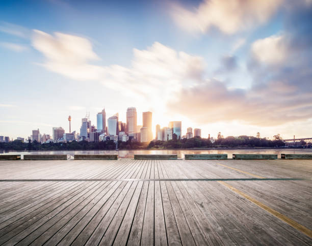 istock Sydney harbor skyline with a plank 973115442