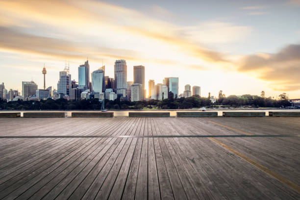 istock Sydney harbor skyline with a plank 973115550