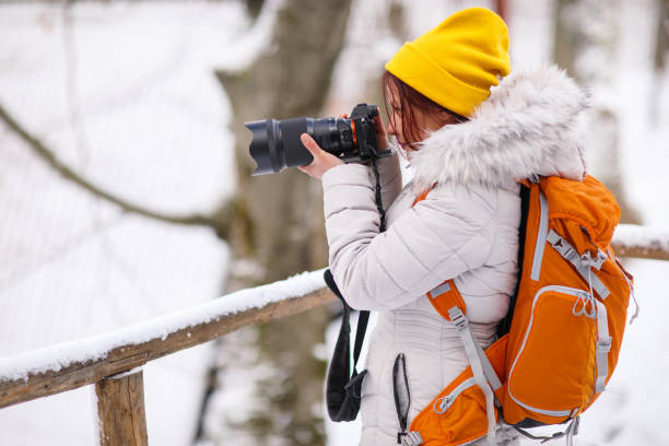 istock Capturing the winter beauty of nature 973116280
