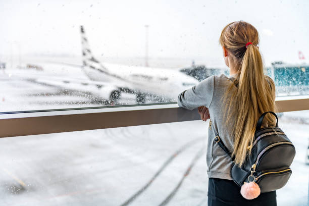 avion & femme voyageant - winter migration photos et images de collection