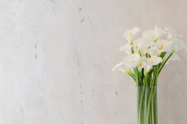 istock beautiful flower bouquet of calla 973149704