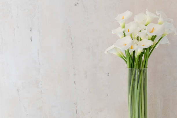 istock beautiful flower bouquet of calla 973151196