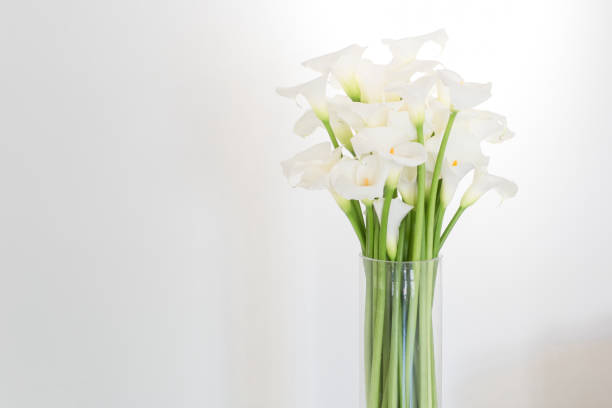istock beautiful flower bouquet of calla 973151840