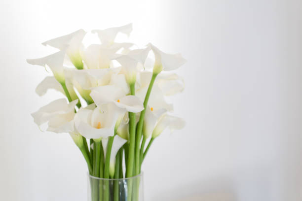 istock beautiful flower bouquet of calla 973153974