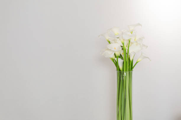 istock beautiful flower bouquet of calla 973154004