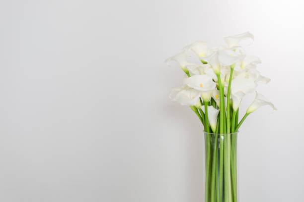 istock beautiful flower bouquet of calla 973154090
