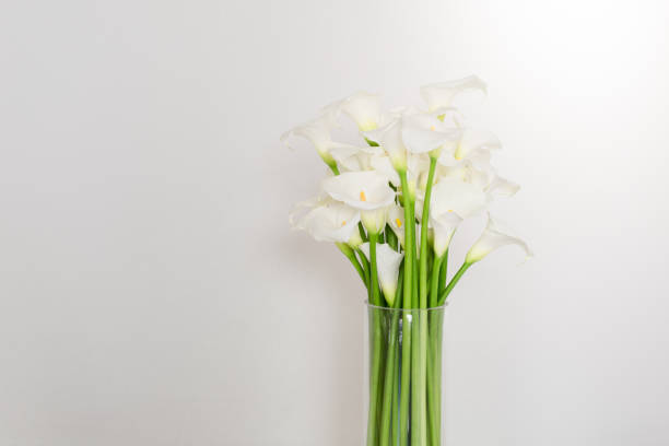 istock beautiful flower bouquet of calla 973154120