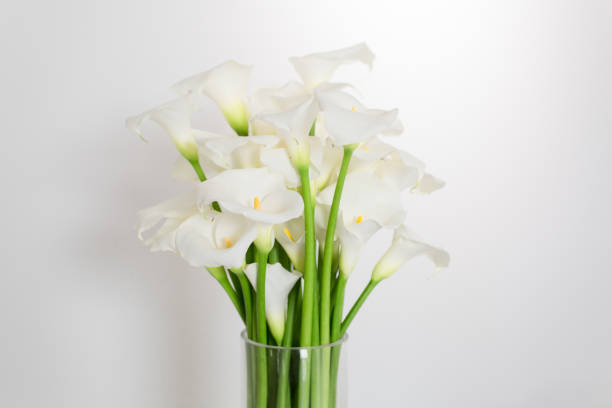 istock beautiful flower bouquet of calla 973154166