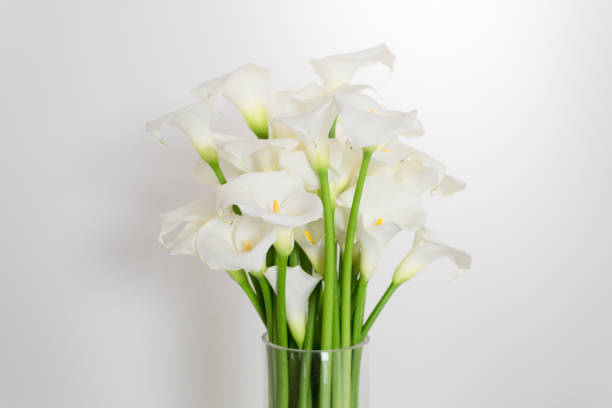 istock beautiful flower bouquet of calla 973154218
