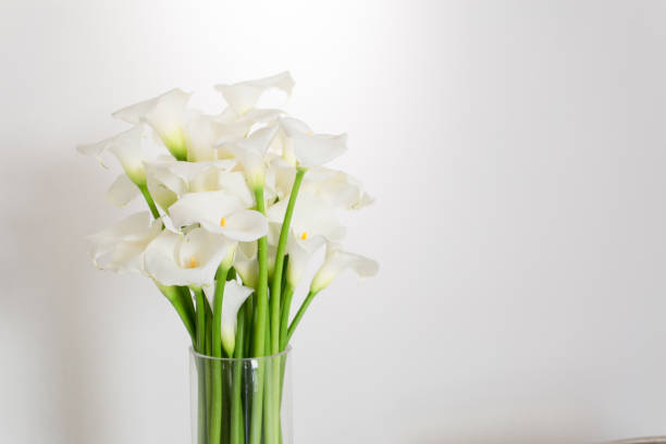 istock beautiful flower bouquet of calla 973156134