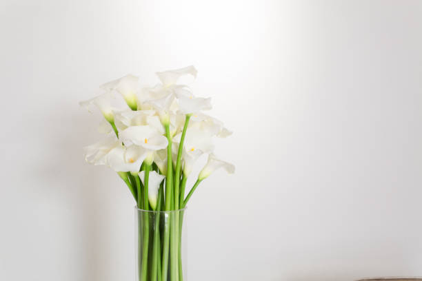 istock beautiful flower bouquet of calla 973156294