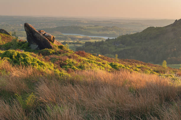 istock Sunset lights the heather and rocks at Ramshaw Rocks 973158808