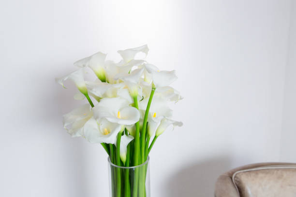 istock beautiful flower bouquet of calla 973159252