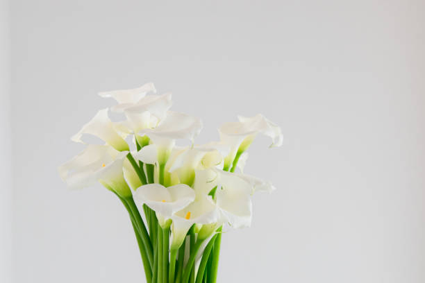 istock beautiful flower bouquet of calla 973159454