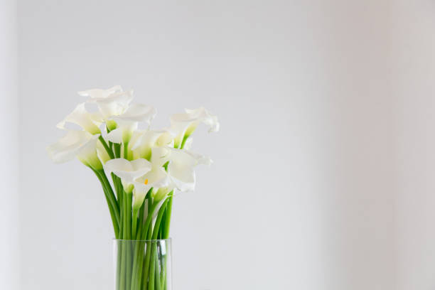 istock beautiful flower bouquet of calla 973159518