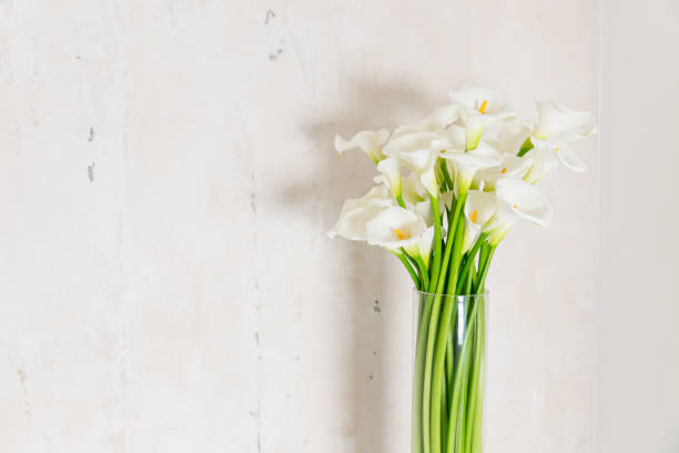istock beautiful flower bouquet of calla 973162354