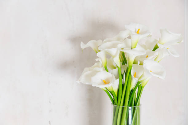 istock beautiful flower bouquet of calla 973162400