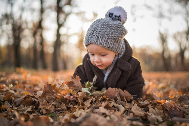 istock Cute small kid among autumn leaves in the park. 973165900