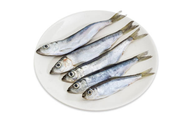 istock Defrosted Baltic herring on the white dish 973169690