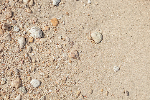 A soft wave runs on a sandy shore on a summer day. Empty space can be used as background for display or montage your top view products.
