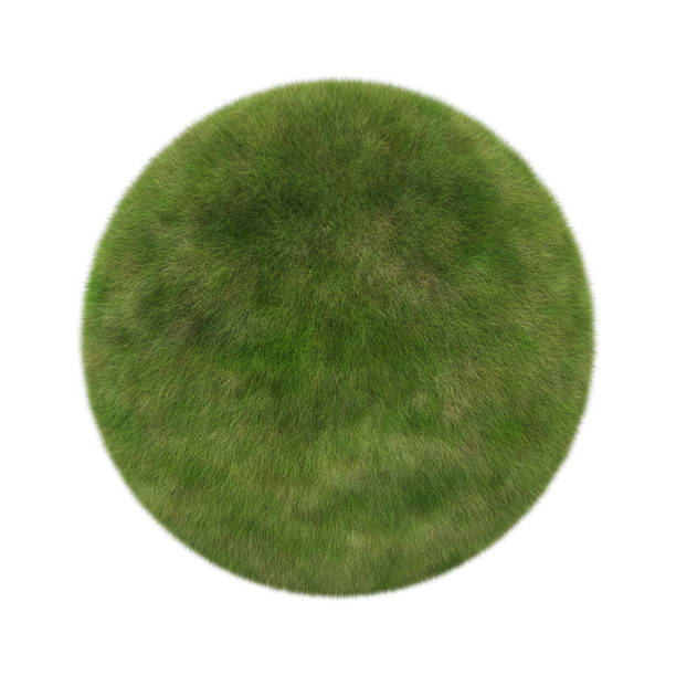 istock Green grass ball in sphere shape isolated on white background, 3d illustration 973177046