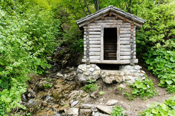istock tiny wooden mountain cabin in dense lush green summer forest with a small creek beside it 973177496