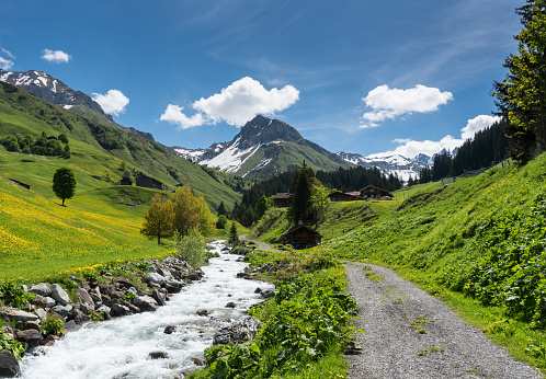 A beautiful mountain valley near Klosters on a summer day with a small creek running through it