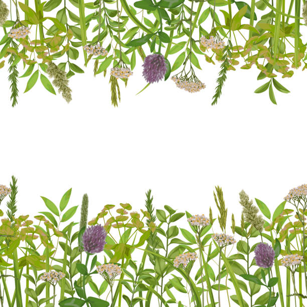 Prairie Border 1,400+ Prairie Background Stock Illustrations, Royalty-Free Vector ...