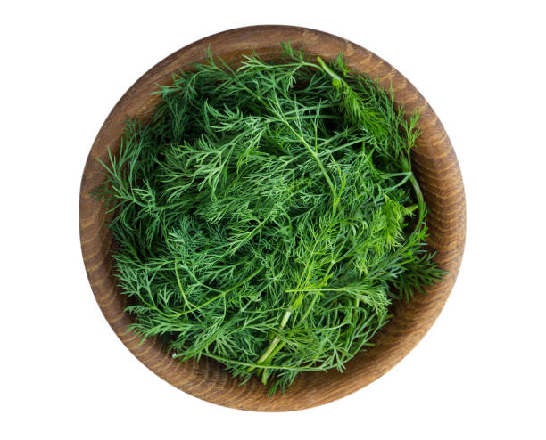 istock Fresh dill in wooden bowl isolated on white background. Top view. Dill with copy space for text. 973188264