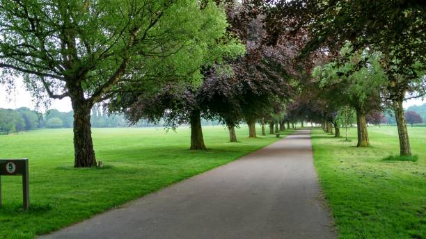 istock The pathway in the park and the sign board 973191812