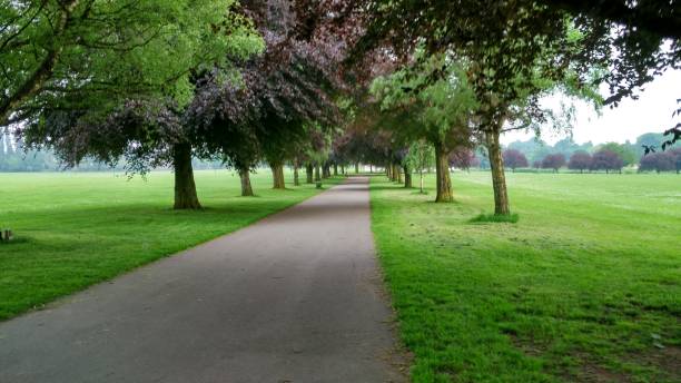 istock The park and the walk way 973195206