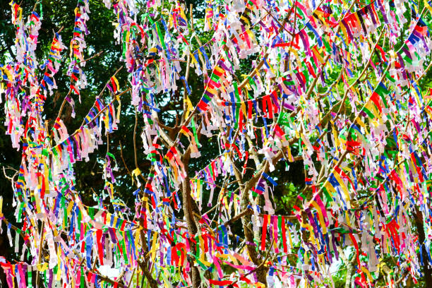 istock lottery on tree is random lottery colorful paper 973204852