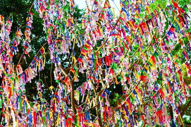 istock lottery on tree is random lottery colorful paper 973209468