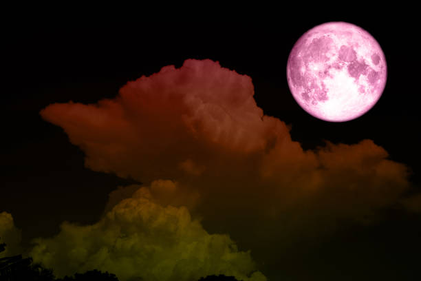 istock super full pink moon silhouette tree forest star on sky 973209534