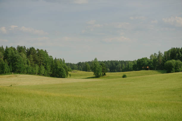 istock Beautiful summer nature landscape with field and sky 973216406