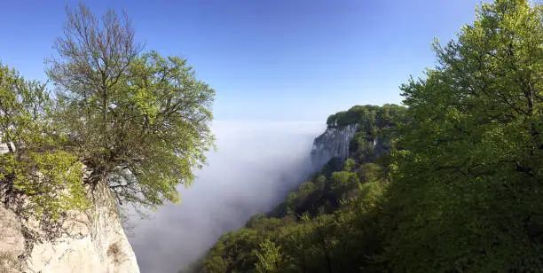 Fog over white chark cliffs on Rügen island, Germany