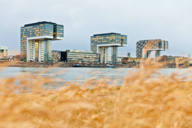 Crane buildings with a meadow at the Rheinauhafen district, Cologne