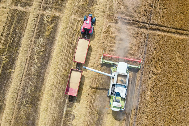 istock Combine harvester working on a wheat field. Combine harvester Aerial view. 973258622