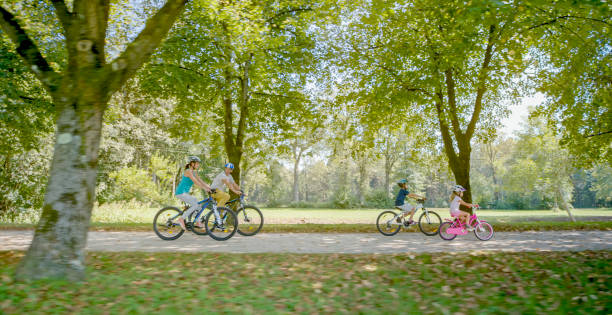 istock Family riding bicycle in park 973258848