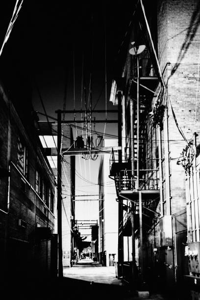 istock Dark alleys - Billings, Montana 973261892