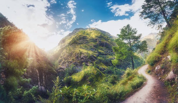istock Amazing scene with Himalayan mountains covered green grass and trees, blue cloudy sky with sun, clouds and beautiful path in Nepal at sunset. Panoramic landscape .Mountain valley. Travel in Himalayas 973270090