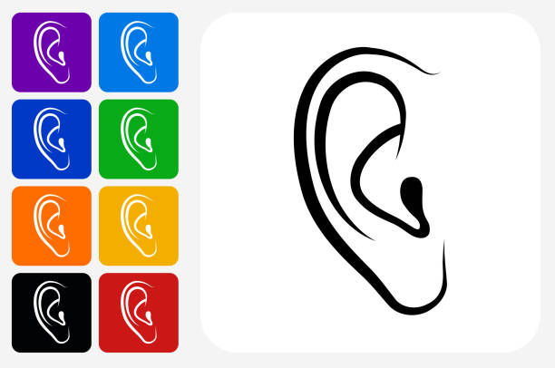 Ears Icon Square Button Set Ears Icon Square Button Set. The icon is in black on a white square with rounded corners. The are eight alternative button options on the left in purple, blue, navy, green, orange, yellow, black and red colors. The icon is in white against these vibrant backgrounds. The illustration is flat and will work well both online and in print. ears white background stock illustrations
