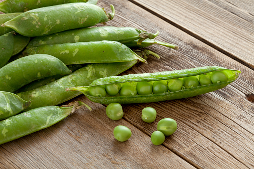 green pea gardening