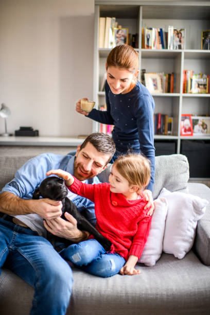 istock Family with child and a dog 973276806